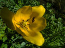 DSCN3714