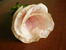 P1440128