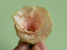 P1440141
