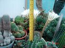 DSC00993