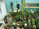 DSC00997