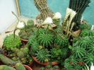 DSC01001
