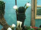 DSC01002