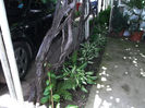 DSCF3128