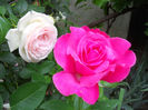DSCN3330