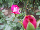 DSCN3332