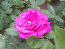 DSCN3333
