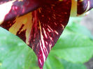 DSCN3324