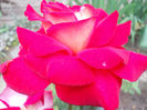 DSCN3325