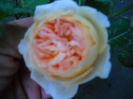DSCN3273
