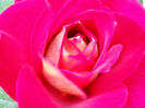 DSCN3266