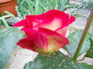 DSCN3265