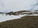 IMG_7639