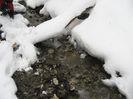 IMG_7873