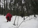 IMG_7880