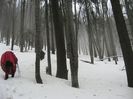 IMG_7882