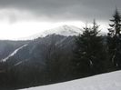 IMG_7892