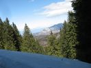 IMG_7931