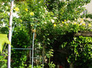 DSC07055