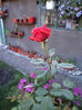DSC03021