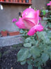 DSC03023