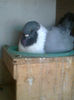 Picture 044