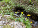 DSCN0081