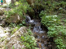 DSCN0082