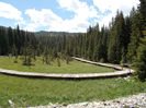 DSCN0090