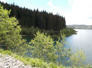 DSCN0111