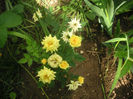 SANY0005