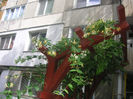 SANY0020