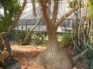 IMG_1125