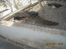 DSCN1788