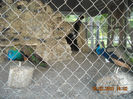 DSCN1792
