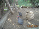DSCN1795
