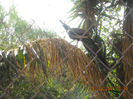 DSCN1799