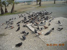 DSCN1804