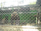 DSCN2047