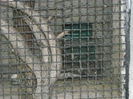 DSCN2054