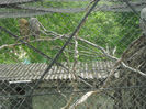DSCN2061