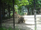 DSCN2091