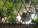 DSCN2118