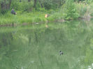 DSCN2119
