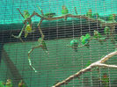 DSCN2026