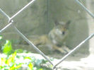 DSCN2076