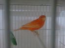 Photo0177
