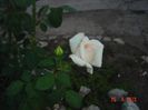 Picture 057