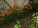 Picture 033