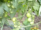 IMG_4830